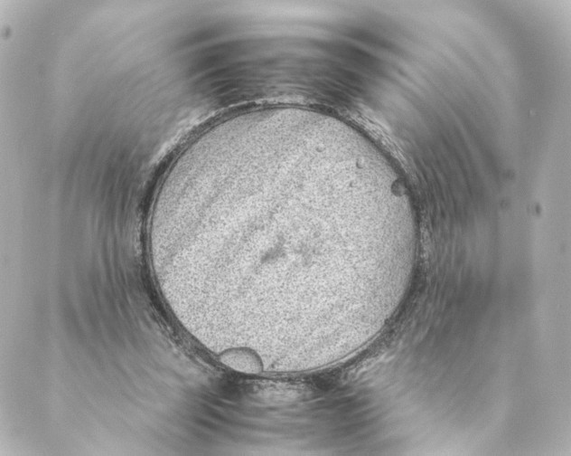 X0000088580347200706221322