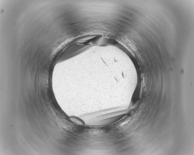 X0000088580348200706221322