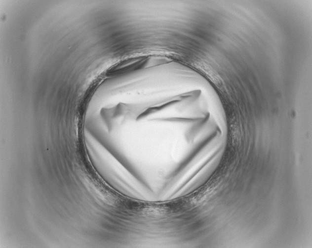 X0000088580350200706221322