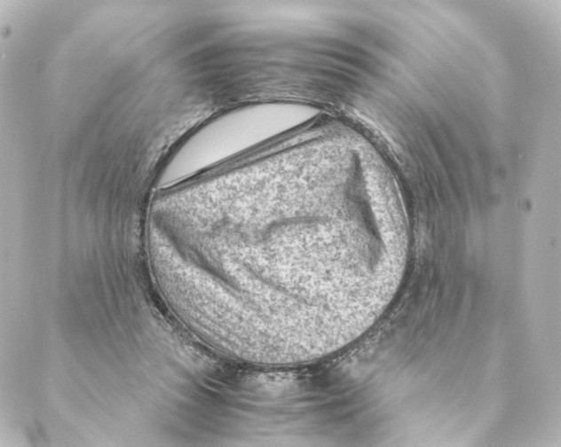 X0000088580353200706221322