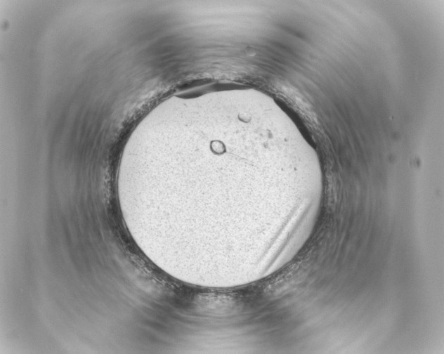 X0000088580354200706221322