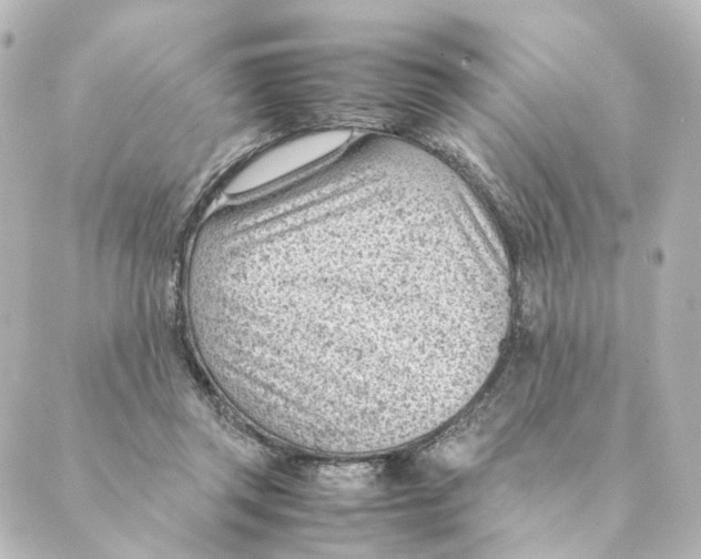 X0000088580357200706221322