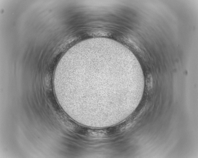 X0000088580359200706221322