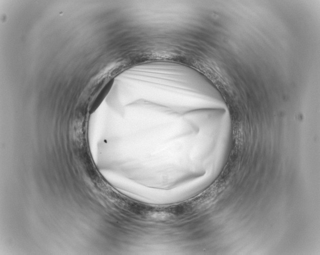 X0000088580360200706221322