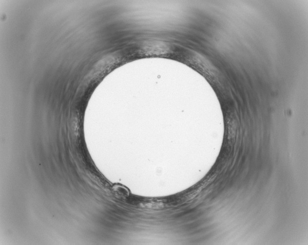 X0000088580362200706221322