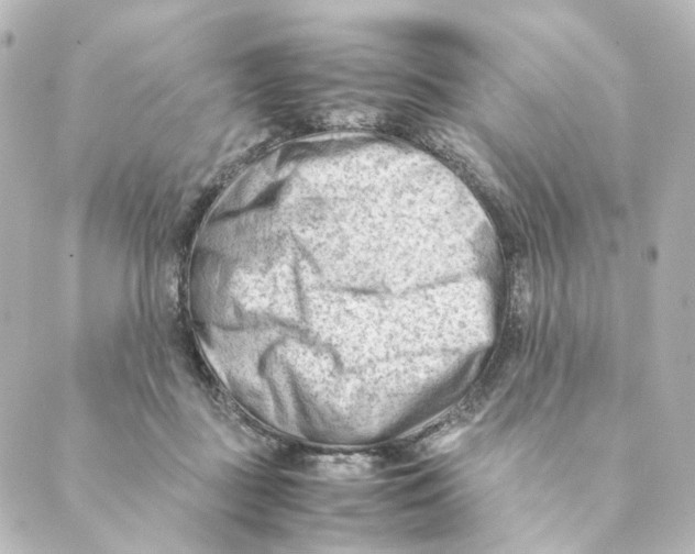 X0000088580363200706221322