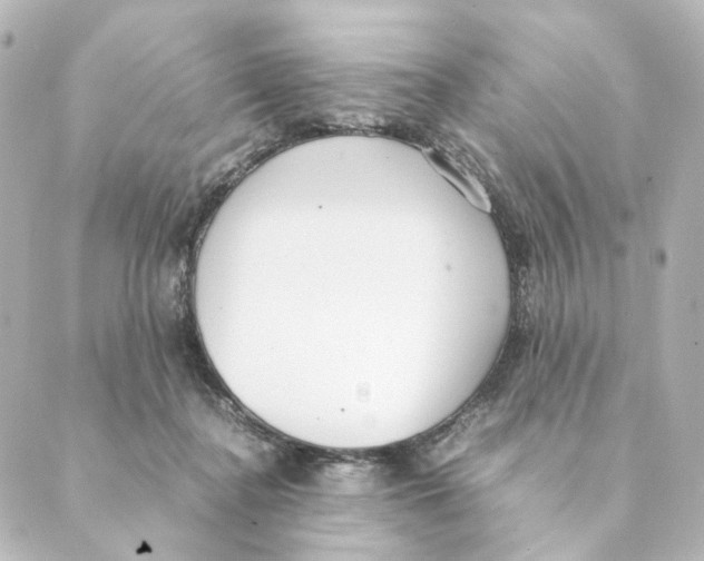 X0000088580364200706221322