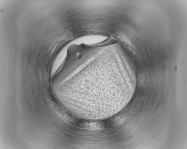 X0000088580365200706221322