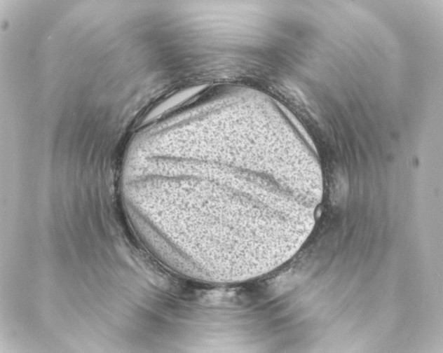 X0000088580366200706221322