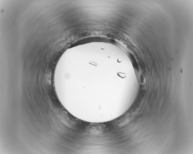 X0000088580368200706221322