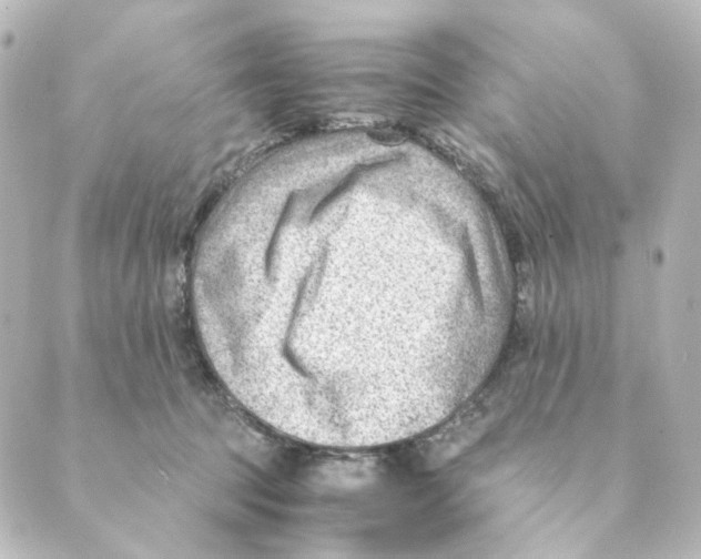 X0000088580369200706221322