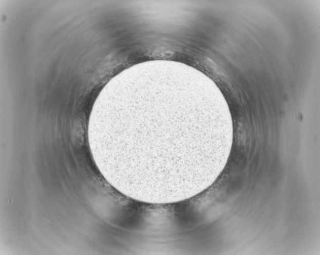 X0000088580370200706221322