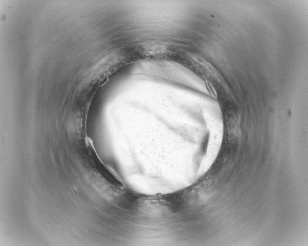 X0000088580372200706221322