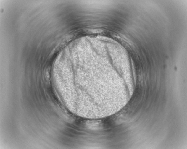 X0000088580373200706221322