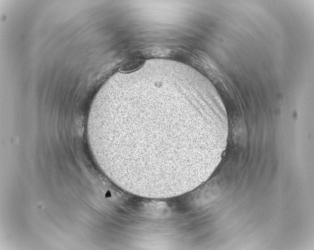 X0000088580374200706221322