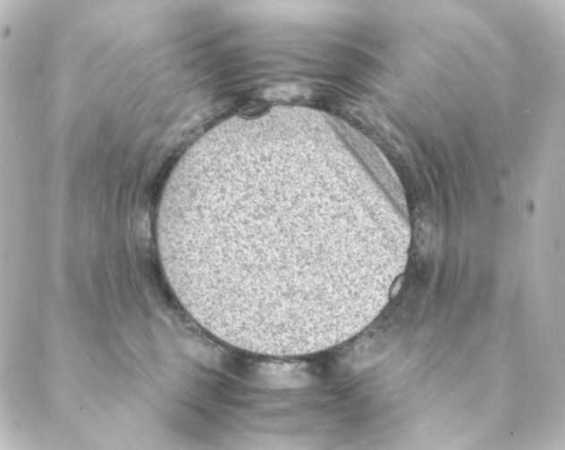 X0000088580375200706221322