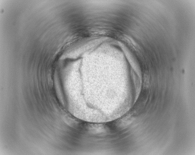 X0000088580377200706221322