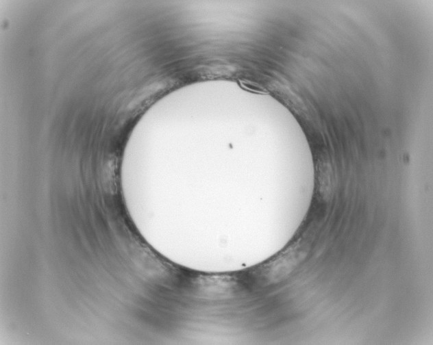 X0000088580378200706221322