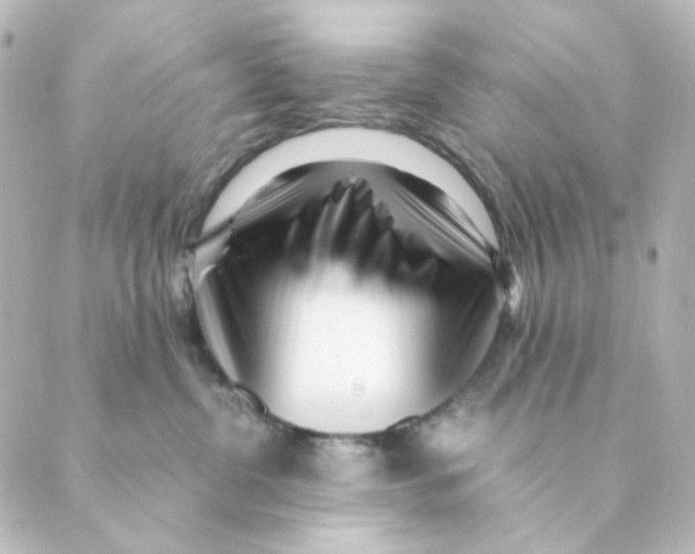 X0000088580380200706221322