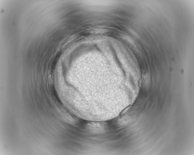 X0000088580381200706221322