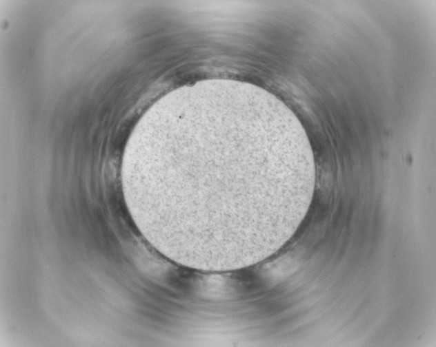 X0000088580382200706221322