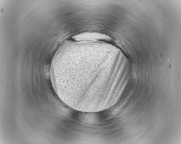 X0000088580383200706221322