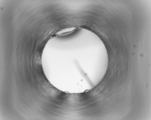 X0000088580384200706221322