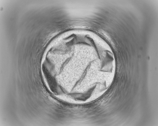 X0000088580385200706221321