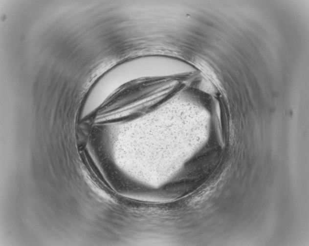 X0000088580389200706221321