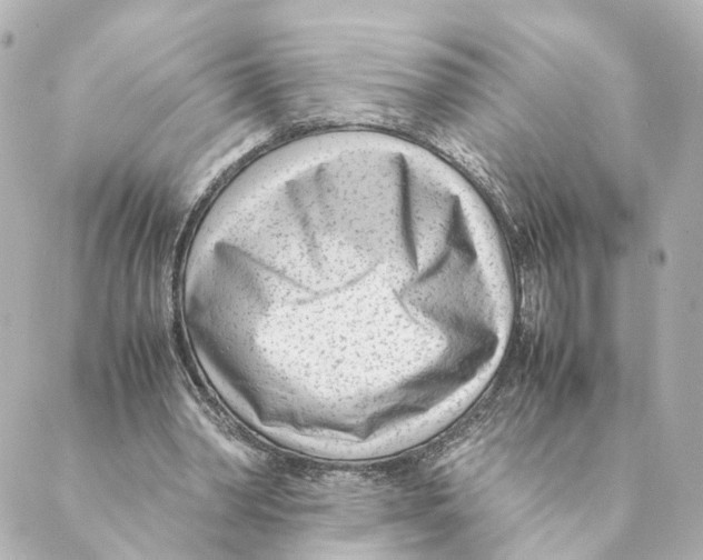 X0000088580390200706221321