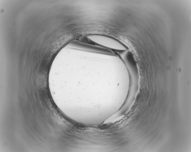 X0000088580393200706221321