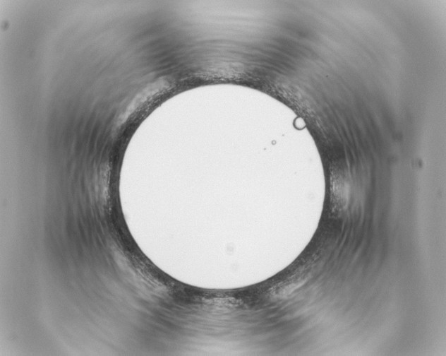 X0000088580396200706221321