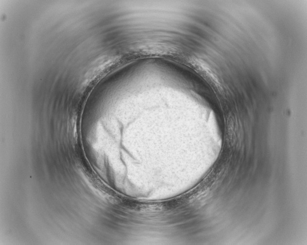 X0000088580398200706221321