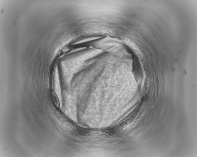 X0000088580399200706221321