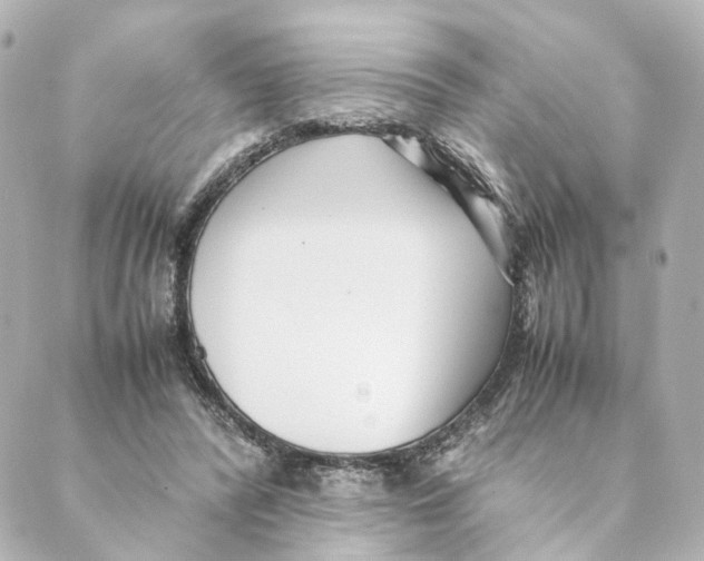 X0000088580400200706221321