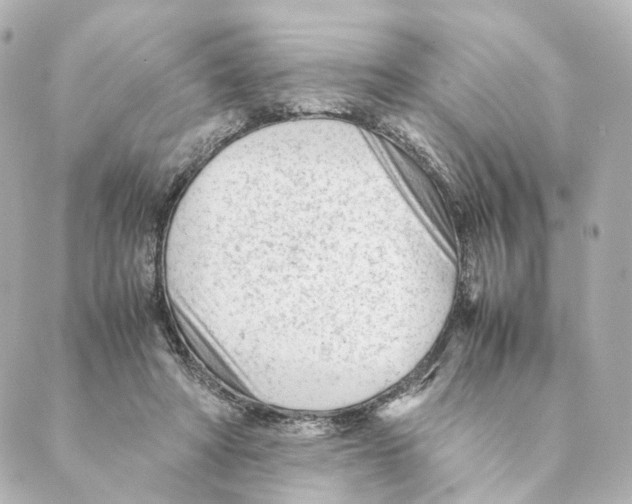 X0000088580402200706221321