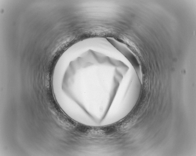 X0000088580403200706221321