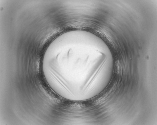 X0000088580404200706221321