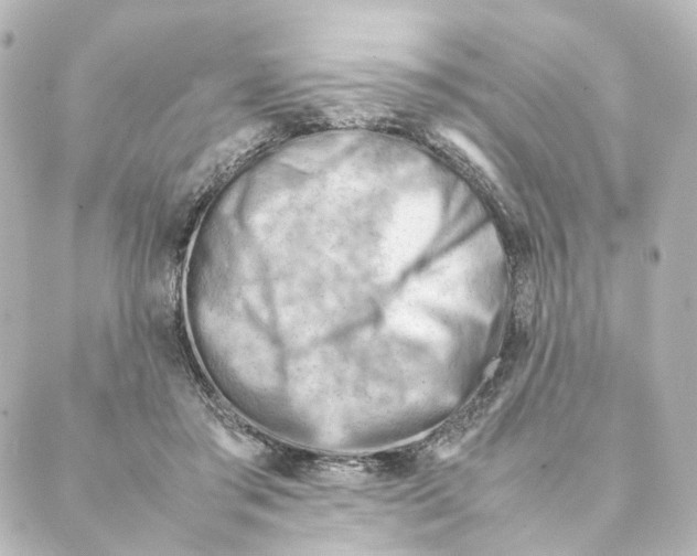 X0000088580405200706221321