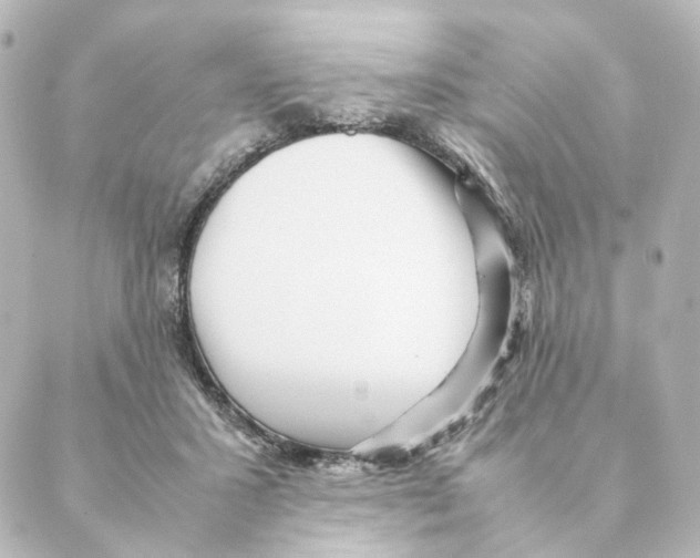 X0000088580407200706221321