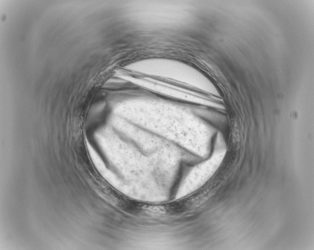 X0000088580409200706221321