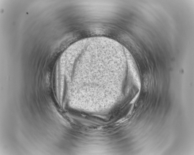 X0000088580410200706221321