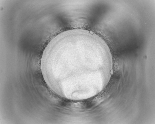 X0000088580411200706221321