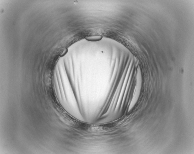 X0000088580413200706221321