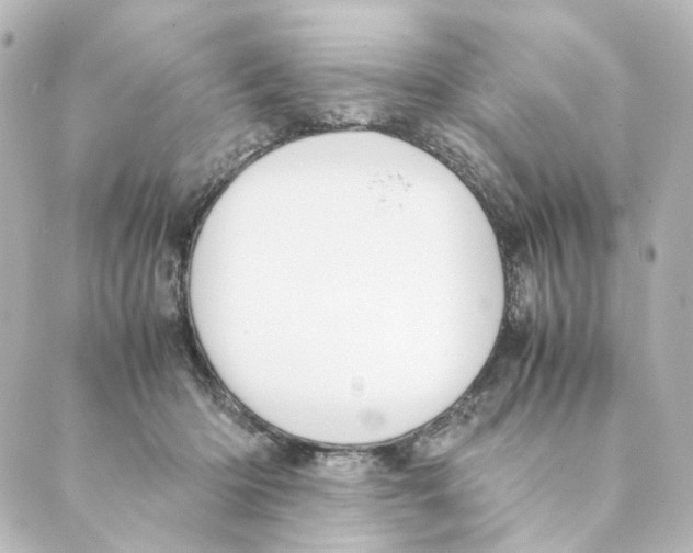 X0000088580414200706221321