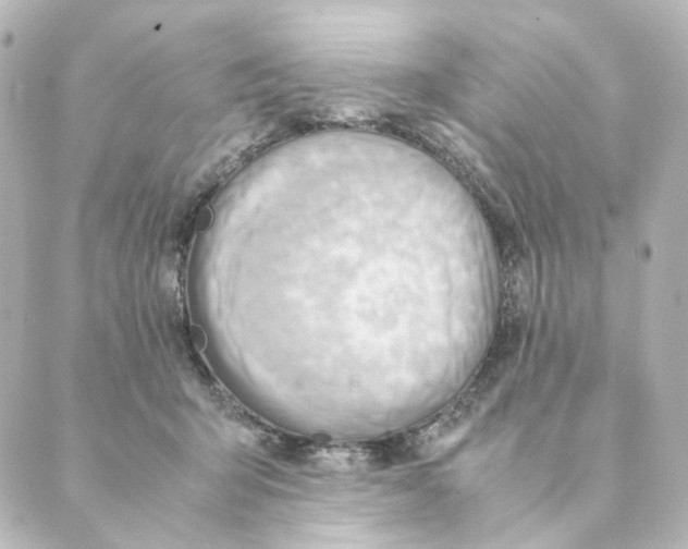 X0000088580415200706221321