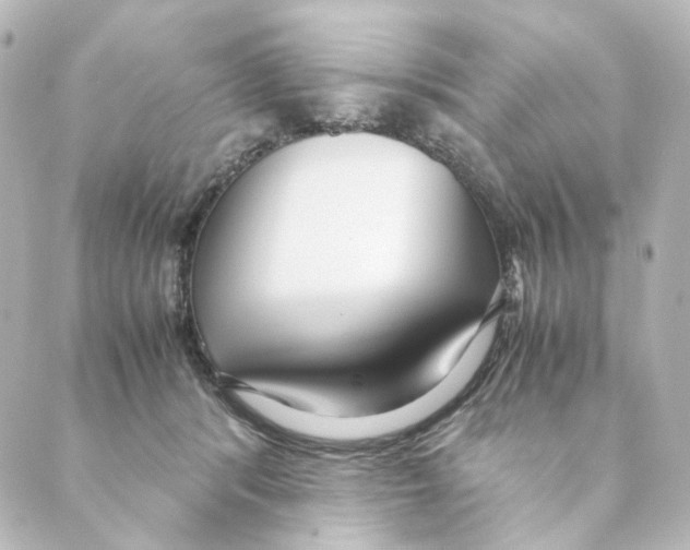 X0000088580416200706221321