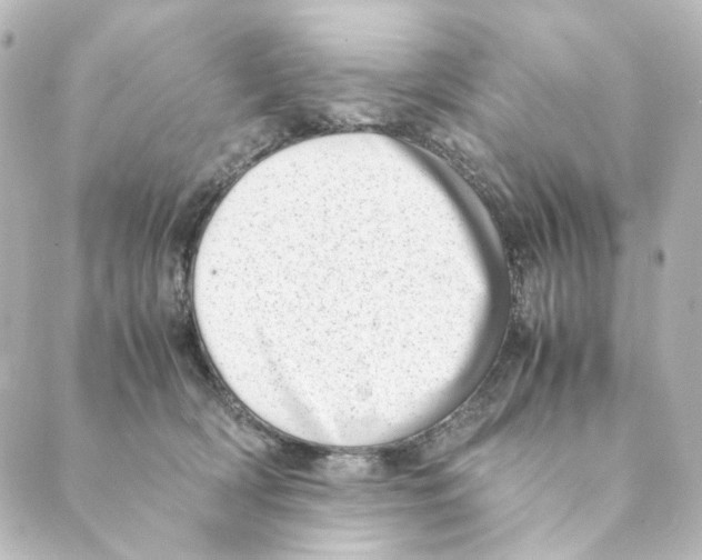 X0000088580418200706221321