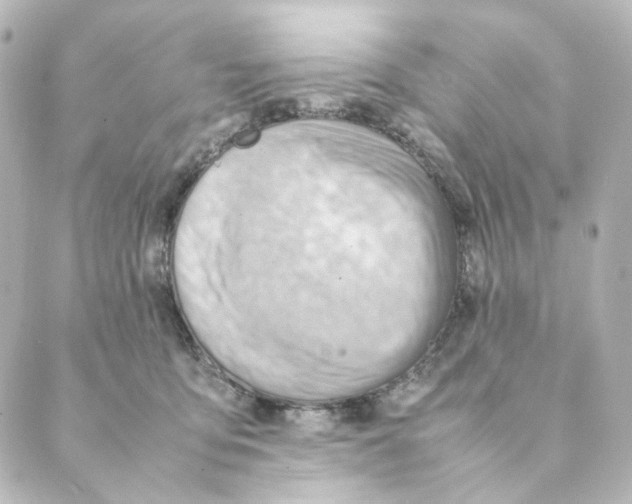 X0000088580419200706221321