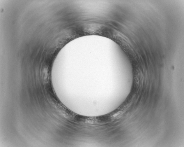 X0000088580420200706221321